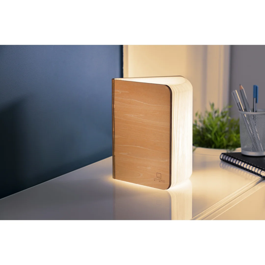 Sarazen 21.5Cm Table Lamp with USB