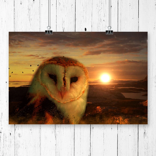 'Owl and Sunset Landscape' Graphic Art