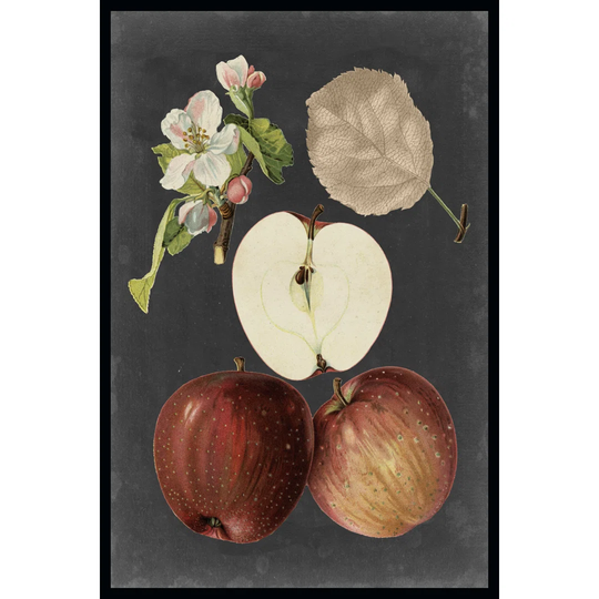 Midnight Harvest I - Wrapped Canvas Art Prints