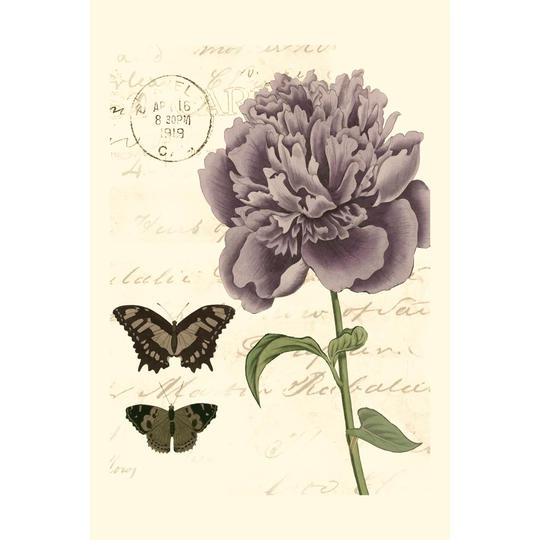 Small Vintage Floral IV - Wrapped Canvas Graphic Art