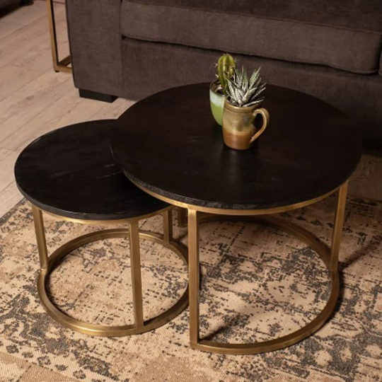 HSM Collection 2 Piece Coffee Table Set Finnley Round