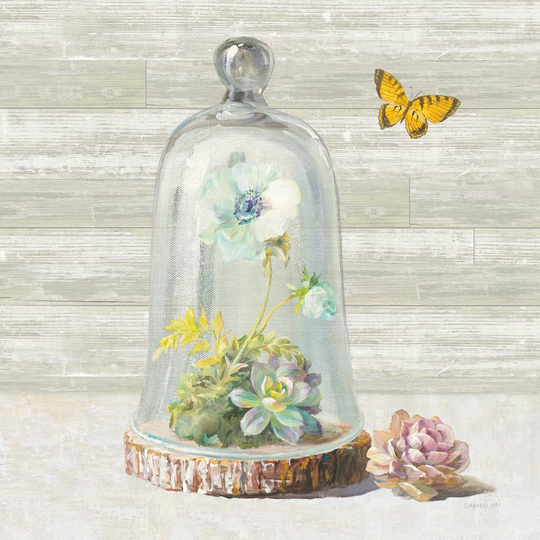 Succulent Garden II by Danhui Nai Wrapped Canvas Painting Print