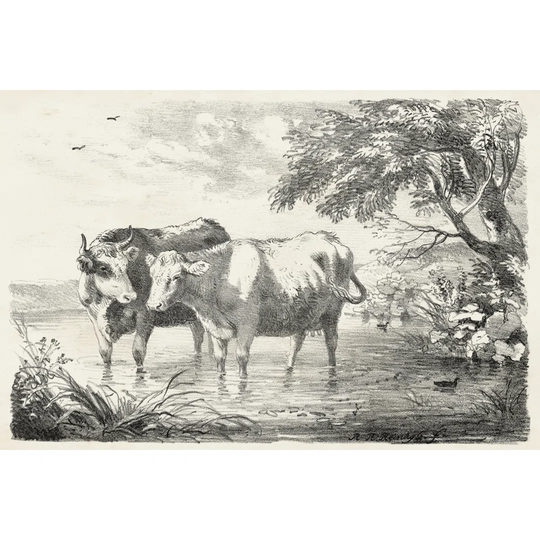 Rural Charms II