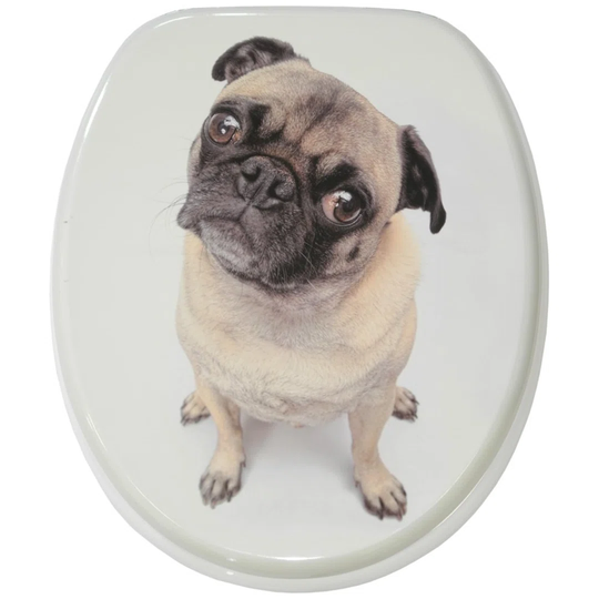 Soft Close Toilet Seat