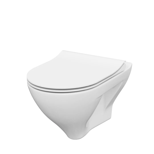 Mille Wall Hung Toilet with Dual Flush and Soft Close Seat