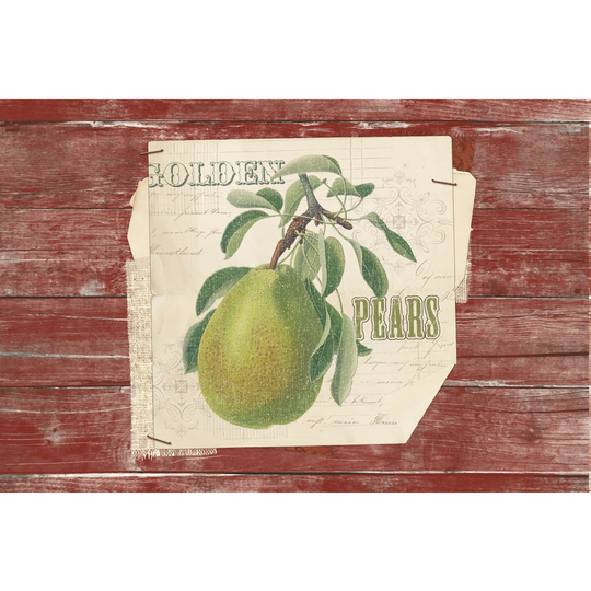 Golden Pears by Katie Pertiet - Wrapped Canvas Painting Print