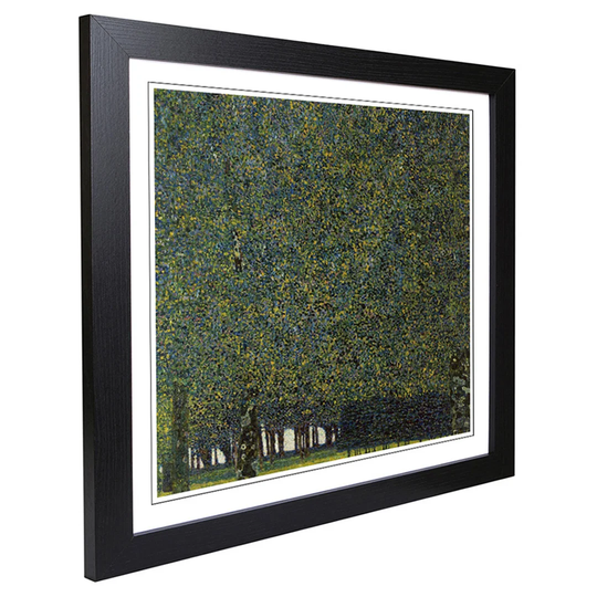 The Park by Gustav Klimt Framed Painting Print