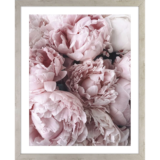 Sweet Peonies No.2 - Picture Frame Photograph