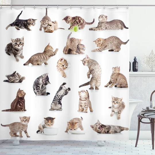 Bjarki 13 Piece Polyester Shower Curtain Set