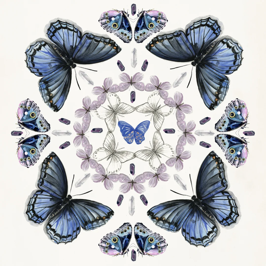 Butterfly Mandala II by Jennifer Paxton Parker - Wrapped Canvas Painting