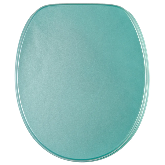 Standard Toilet Seat