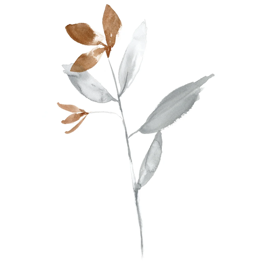Simple Stem II by Jennifer Goldberger - Wrapped Canvas Painting