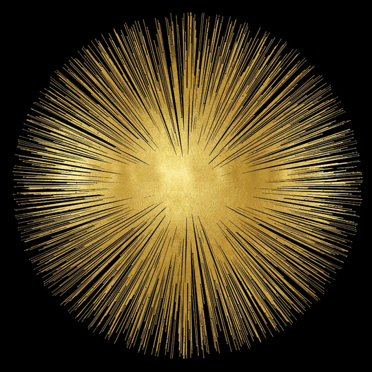 Sunburst on Photograph Black I by Abby Young - Wrapped Canvas Art Prints