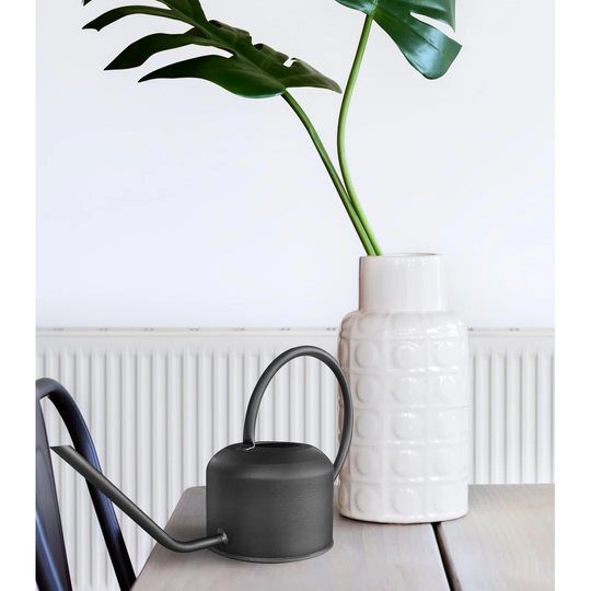 August Grove Delyth Watering Can