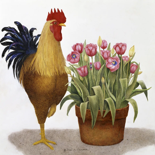 Tulip Time by Marcia Matcham - Wrapped Canvas Painting