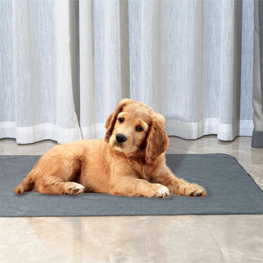 Educator Carpet for Dog Quick Absorbent Asese For Washable Dog, Absorbent Mat Anti-leakage Dogs and Antideraptant