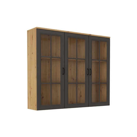 Display Standard Cabinet