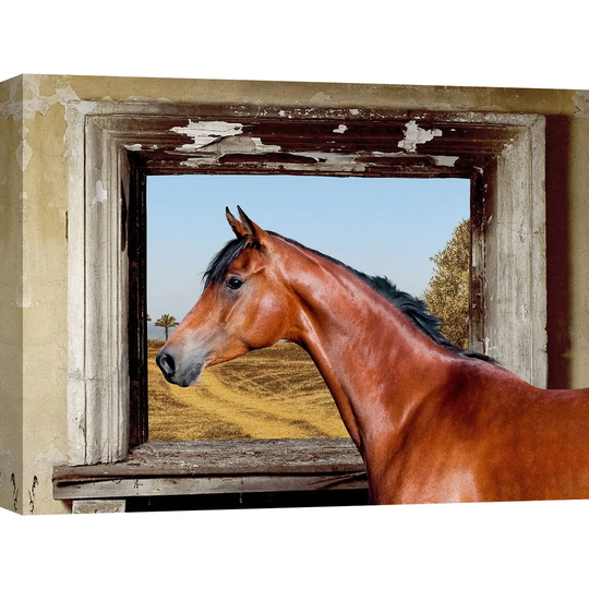'Arab King Horse' by Julian Lauren - Wrapped Canvas Photograph Print