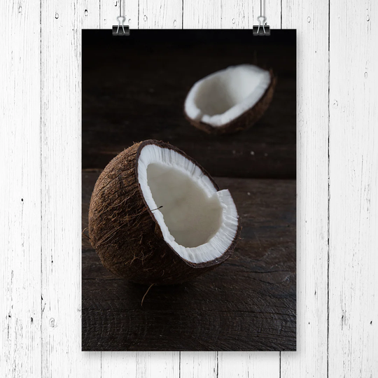 'Coconut' Graphic Art