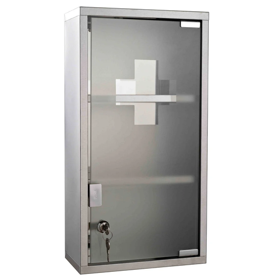 Claypoole 25cm x 48cm Wall Mounted Medicine Cabinet