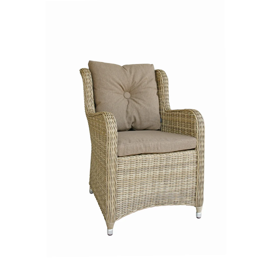 Vandeventer 8 Seater Dining Set with Cushions and Parasol