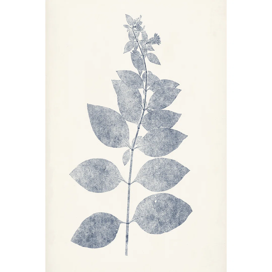 Navy Botanicals IX by Vision Studio - Wrapped Canvas Painting