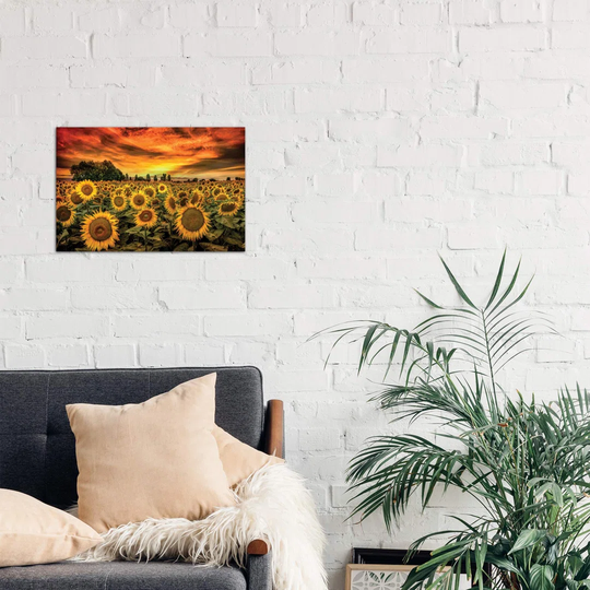 'Tuscany Sunflowers Field' Photograph on Wrapped Canvas