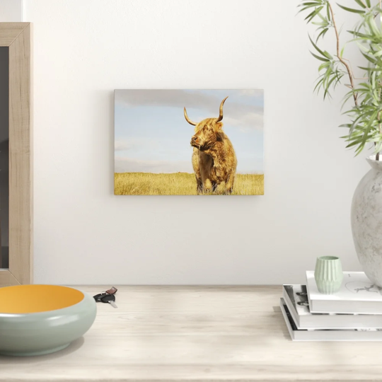 'Cow' Photographic Print
