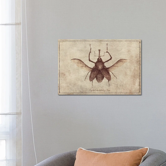Cyrtotracheulus Dux 2 by Mike Koubou - Wrapped Canvas Graphic Art