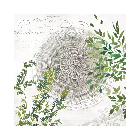 Eco I by Aimee Wilson - Wrapped Canvas Graphic Art