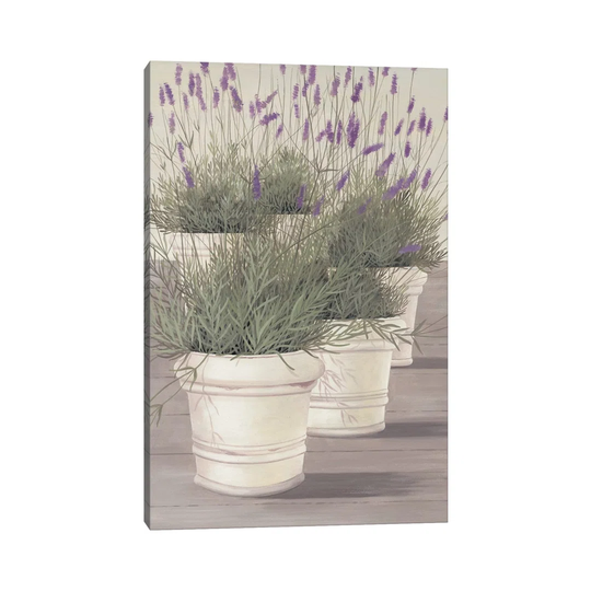 Lavender by Franz Heigl - Wrapped Canvas Graphic Art