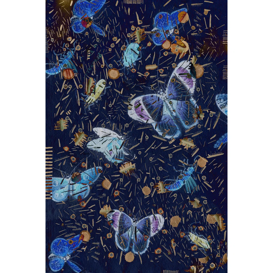 Confetti With Butterflies II - Wrapped Canvas Graphic Art