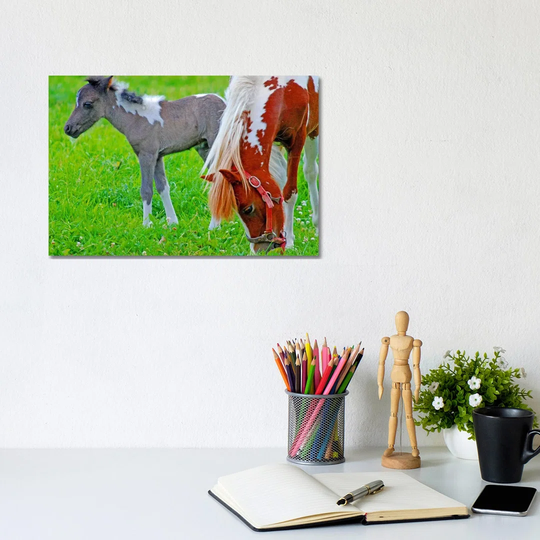 Colt and Mare by Brian Wolf - Wrapped Canvas Photograph