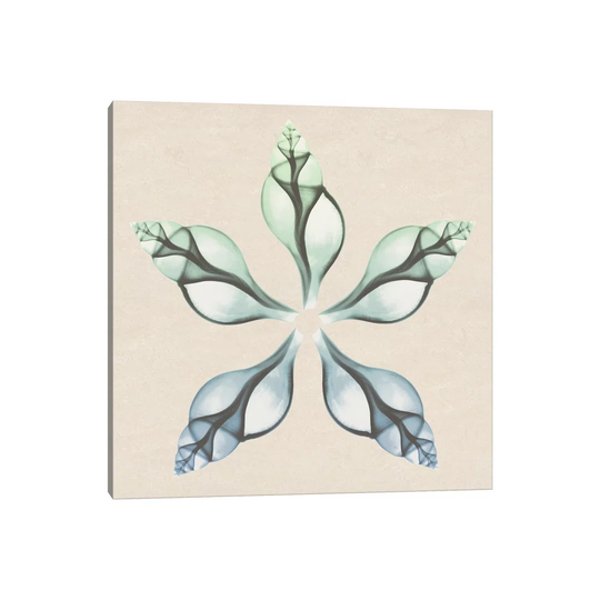 Seaside Star I - Wrapped Canvas Graphic Art
