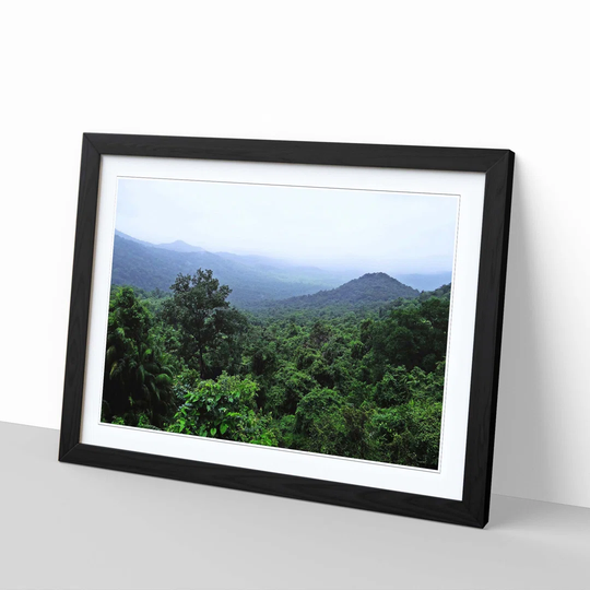'Landscape Jungle Rainforest 1' Framed Photographic Print