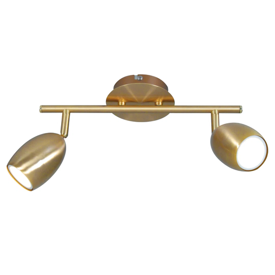 Edenbridge 2-Light 34cm Ceiling Spotlight