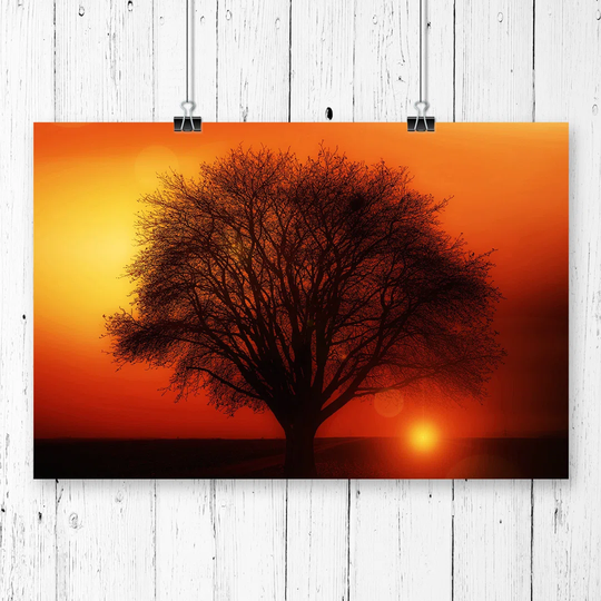 "Landscape Lone Tree Sunset" Photographic Art