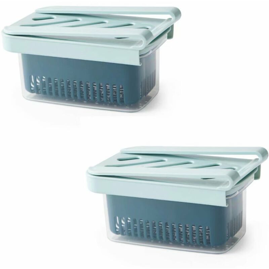 Refrigerator Conservation Box Green Onion Box Green Onion Storage Box, Kitchen Utensils, Kitchen Supplies, Kitchen Accessories, Refrigerator
