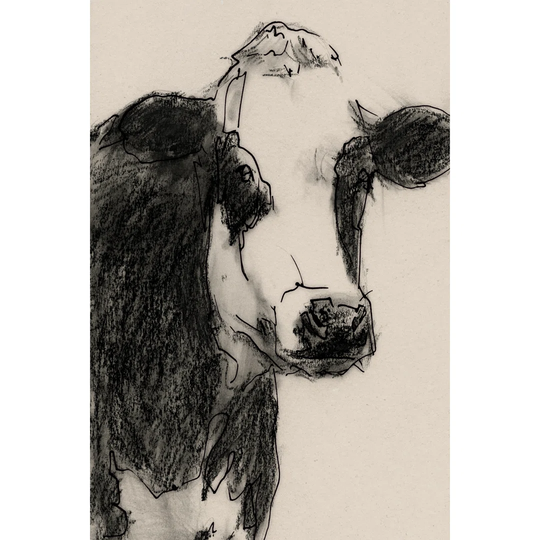 Cow Portrait Sketch I by Victoria Barnes - Wrapped Canvas Painting