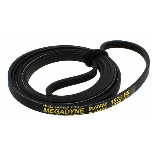 Belt Poly 1975h5.p