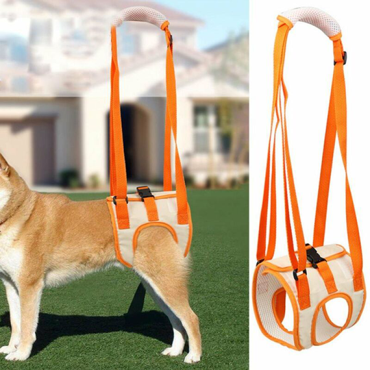Dog Rear Support Lifting Harness Helps Dogs With Injuries Arthritis (L), Standing Hind Legs, Disability - Pet Rehabilitation Walking Aid Straps