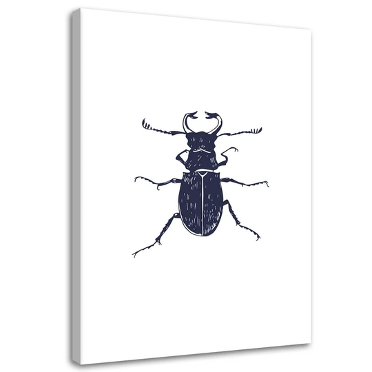 Canvas print, Black beetle