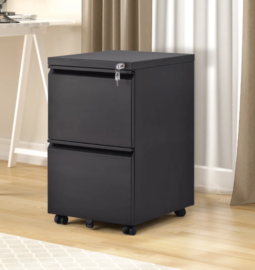 Jasso 2 Drawer Filing Cabinet