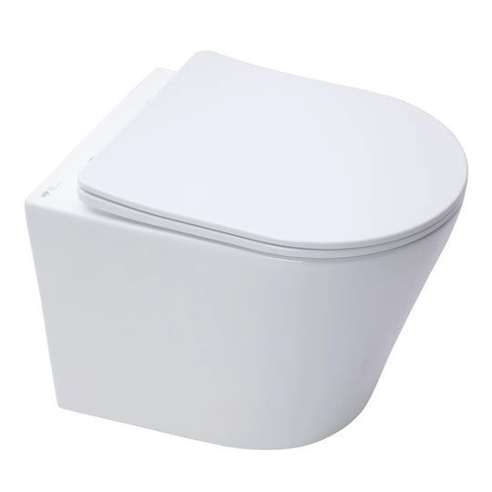 Schrock Wall Hung Toilet and Mounting Frame with Button Flush and Soft Close Seat