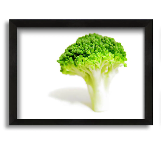 Brocolli Stem - Picture Frame Photograph on Canvas