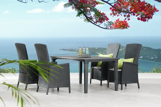 Rajnie 4 Seater Dining Set with Cushions