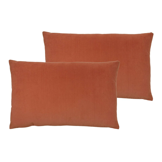 Delanta Feathers Scatter Cushion With Filling