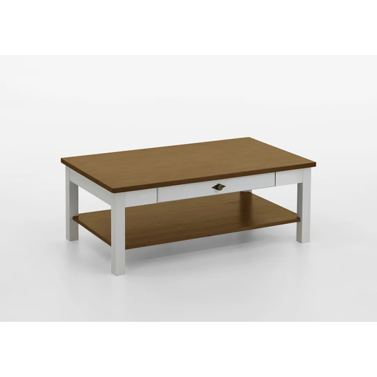 Hojanovice Coffee Table with Storage