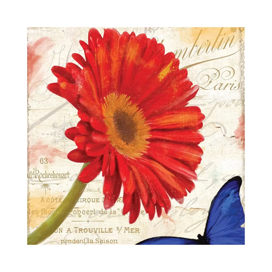 Gerbera Daisy by Color Bakery - Wrapped Canvas Graphic Art