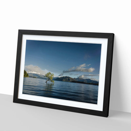 'Landscape Lone Tree lake' Framed Photographic Print